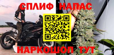 бошки Славгород